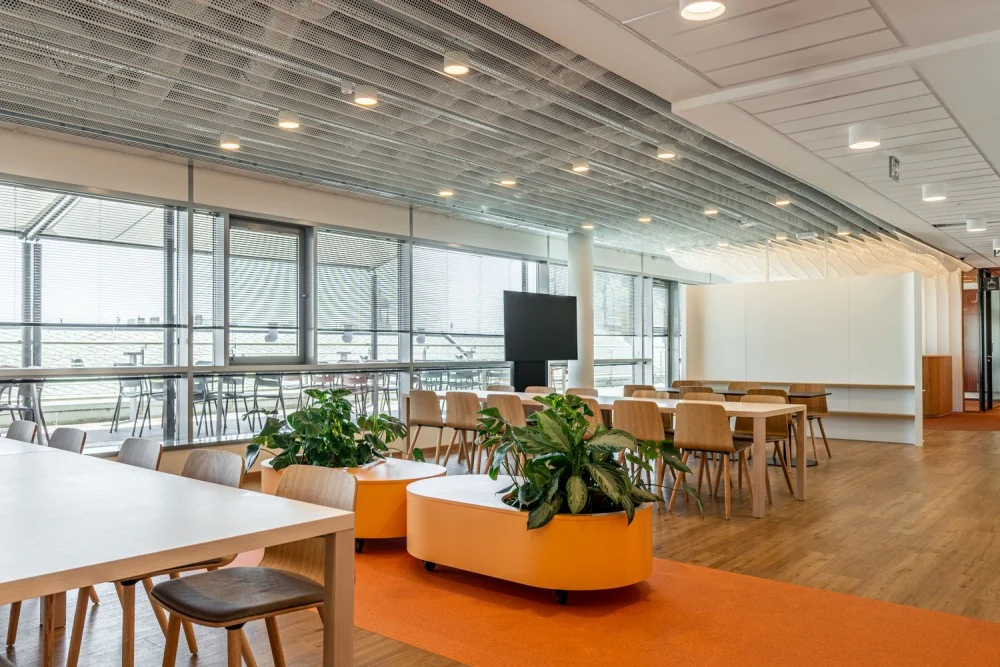 Bright sixth-floor open space with tables, chairs, plants and floor-to-ceiling windows
